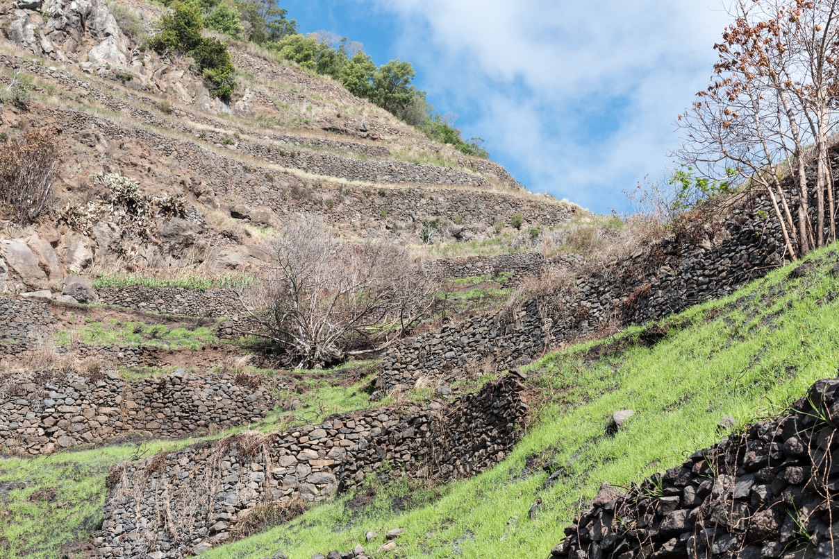 105-Levada Nova - Tabua (7)