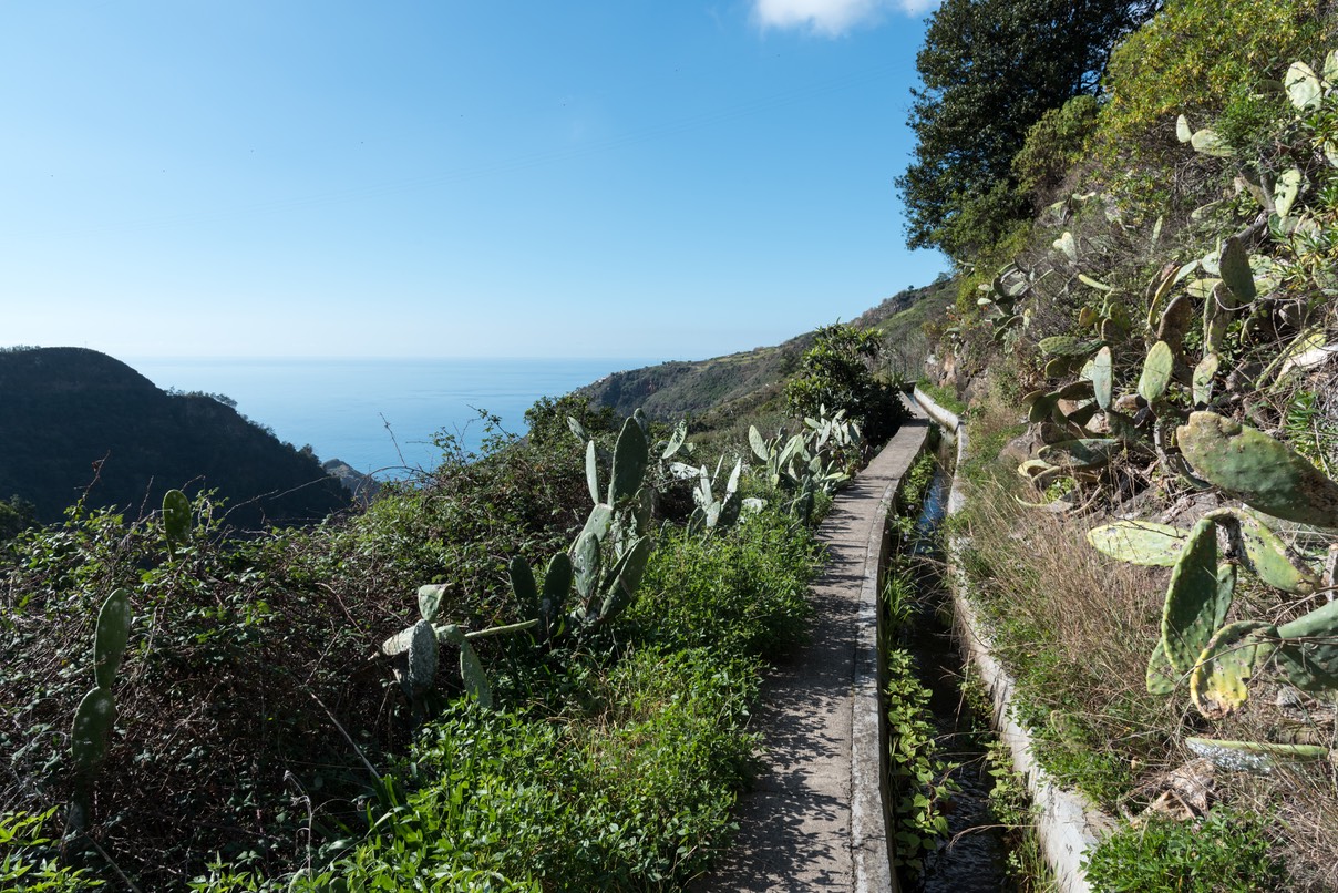 106-Levada Nova - Tabua (3)