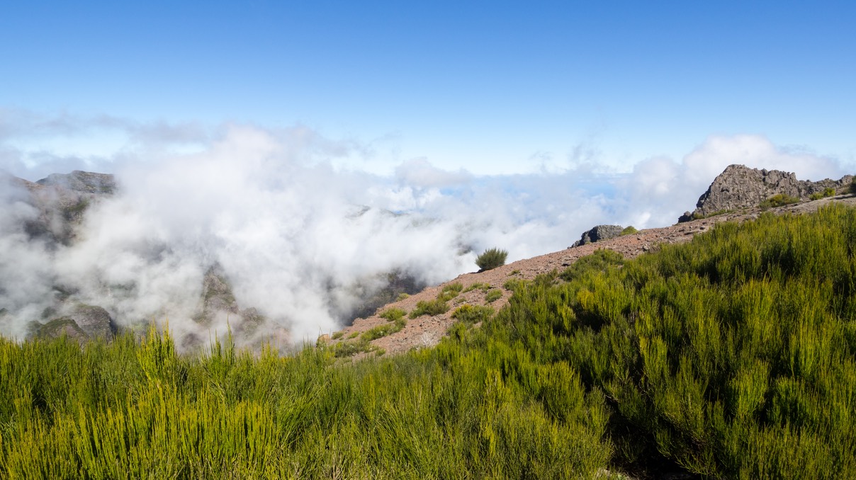 122-Verada do Areeiro vers le Pico Ruivo (2)