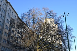 64-Berlin, Karl-Marx-Allee