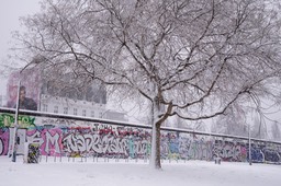 76-Berlin, East Side Gallery