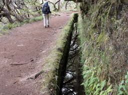 88-Rabaçal - Levada das 25 Fontes e Risco (1)
