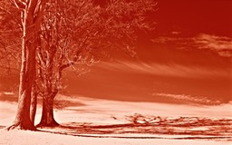 _DSC3812-1_DxO