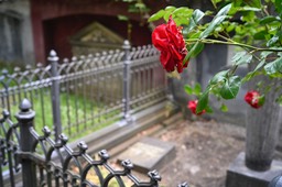 Copenhague (27), cimetière Assistens