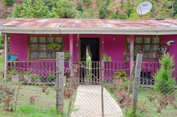 Copey-29