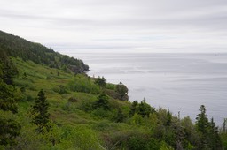 Parc Forillon 06-2026 (2)