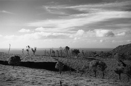 Rando 01 décembre (8)