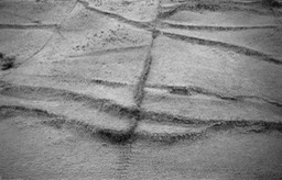 Rando 26 novembre (13)