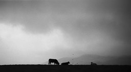 Rando 26 novembre (22)
