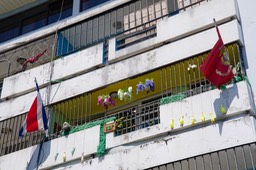 San José-12