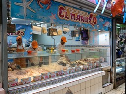 San José-35