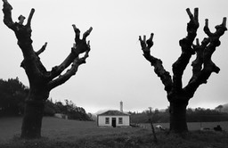 Santo Espirito (3)