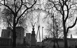 Whitehall Gardens