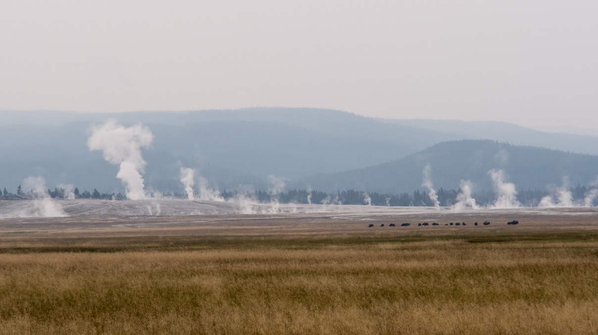 Yellowstone (48)